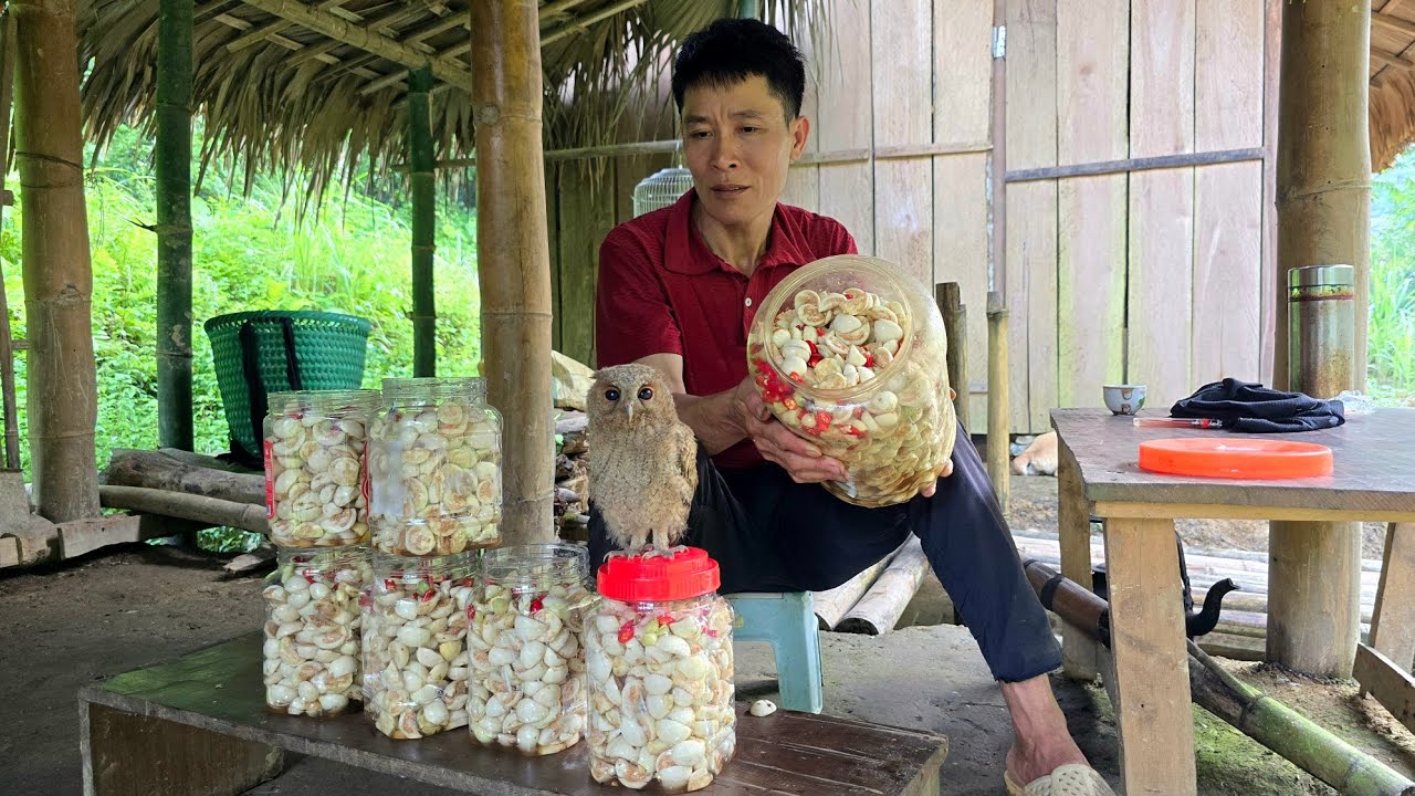 Harvest Coated Eggplant Go To The Market Sell - White Eggplant Preservation Process | Solo Survival