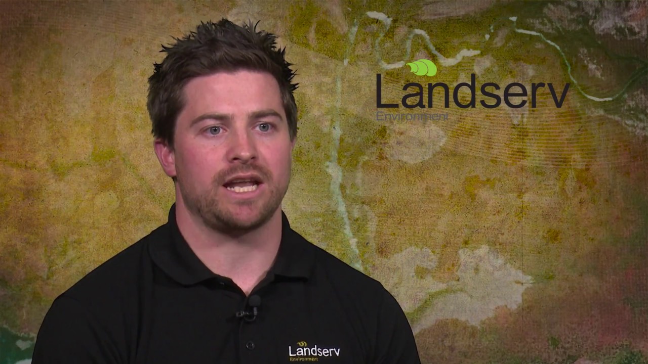 What is contaminated land and when do I have to deal with it?