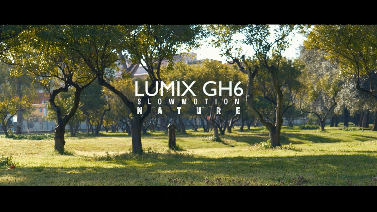 LUMIX GH6 slow motion Nature  100fps 4K