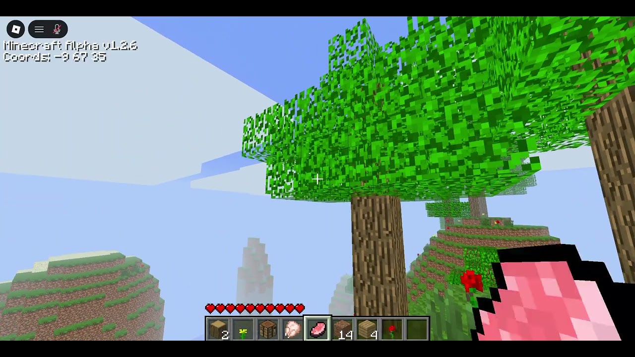 Knockoff minecraft