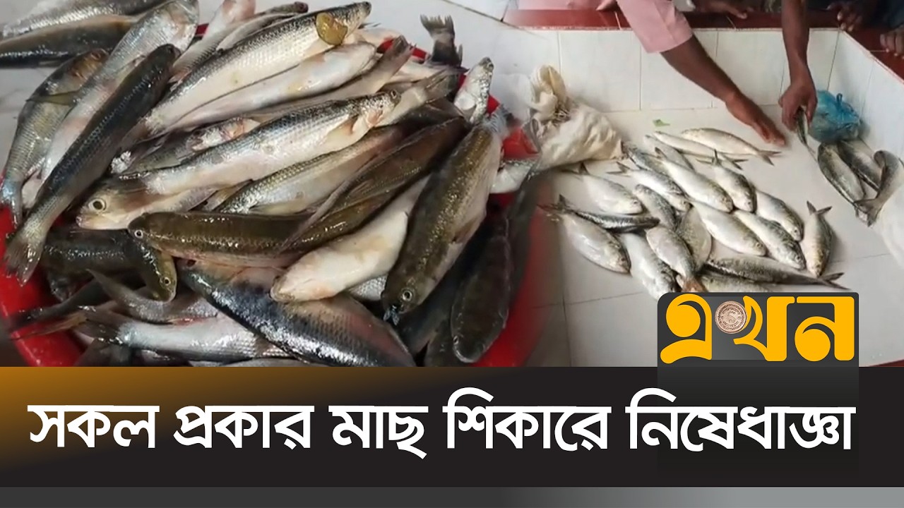 ইলিশসহ অন্যান্য মাছের উৎপাদন বাড়াতে মৎস্য বিভাগের নিষেধাজ্ঞা | Fish Farming Restriction | Ekhon TV