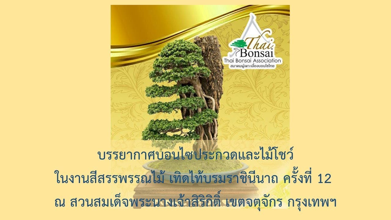 บอนไซประกวดและไม้โชว์ ในงานสีสรรพรรณไม้ เทิดไท้บรมราชินีนาถ ครั้งที่ 12