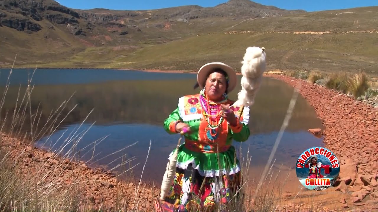 PALOMA MENSAJERA - COLLITA ANCASHINA