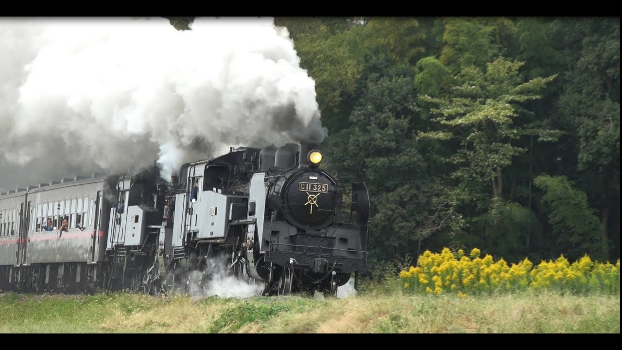 真岡鉄道SL C11325との別れ 最後の重連