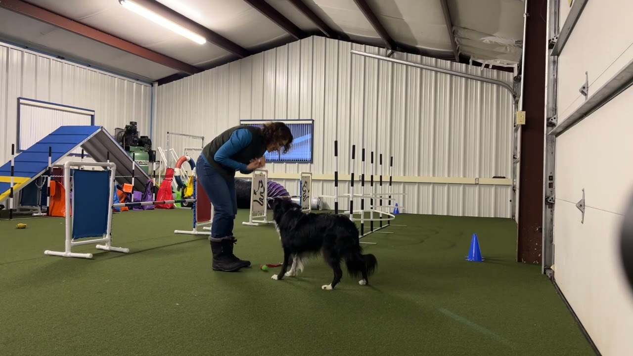 Mia tight turn to bypass weave polls 02292026