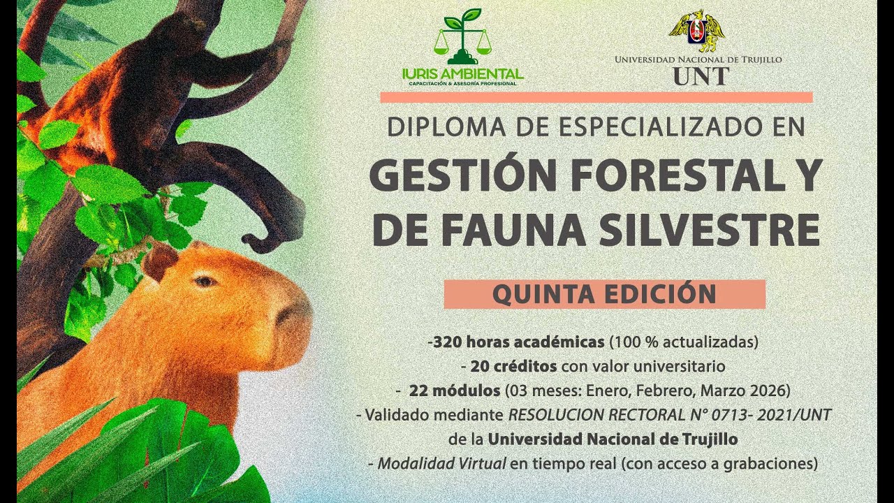 DIPL FORES 3 EN 26 video1503302851