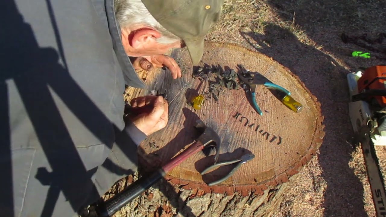 Metal/Steel in a saw log # 979 up to 12 nails now