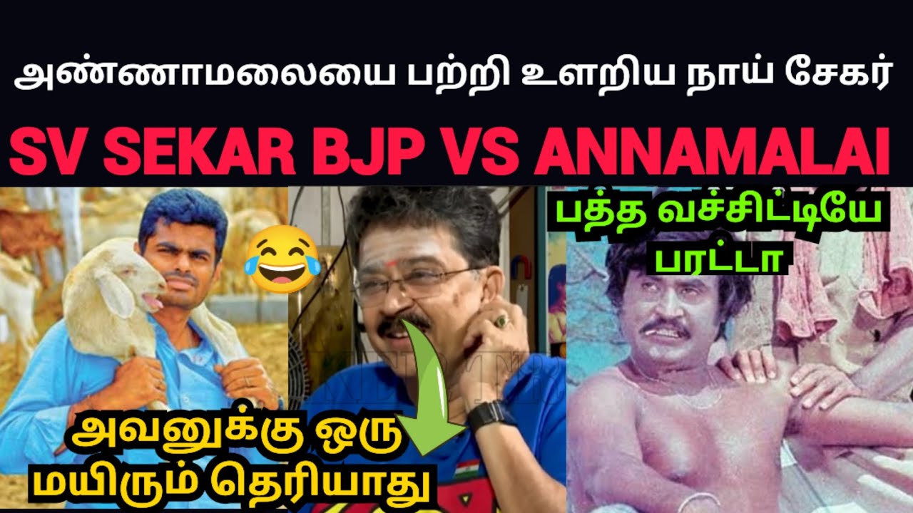 ஆட்டுக்குட்டி | மாட்டிகிட்டான் | 🤣 SV SEKAR VS  | ANNAMALAI | TROLL LATEST | NEW INTERVIEW TROLL