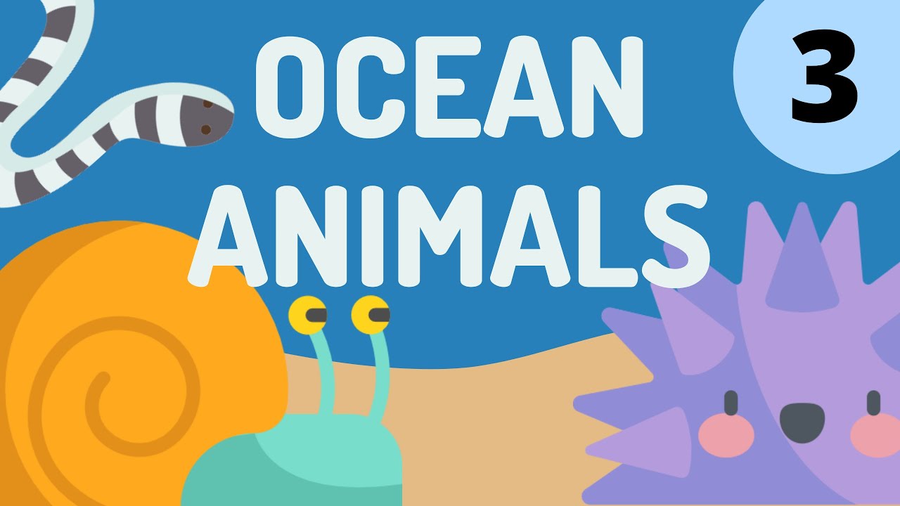 Ocean Animal Quiz for Kids 🐠 | Fun Guessing Game (Timed)