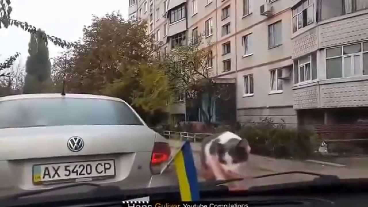 We Love Russia 2014   Best Fail Compilation #2
