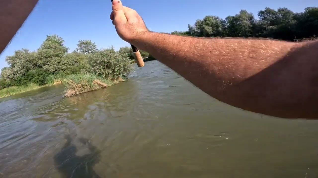 Pescuit la avat pe râul Argeș cu voblere AXC ! Romeo a spart gheața din,nou!