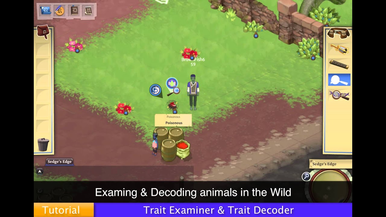 Radix Tutorial: Trait Examiner & Decoder