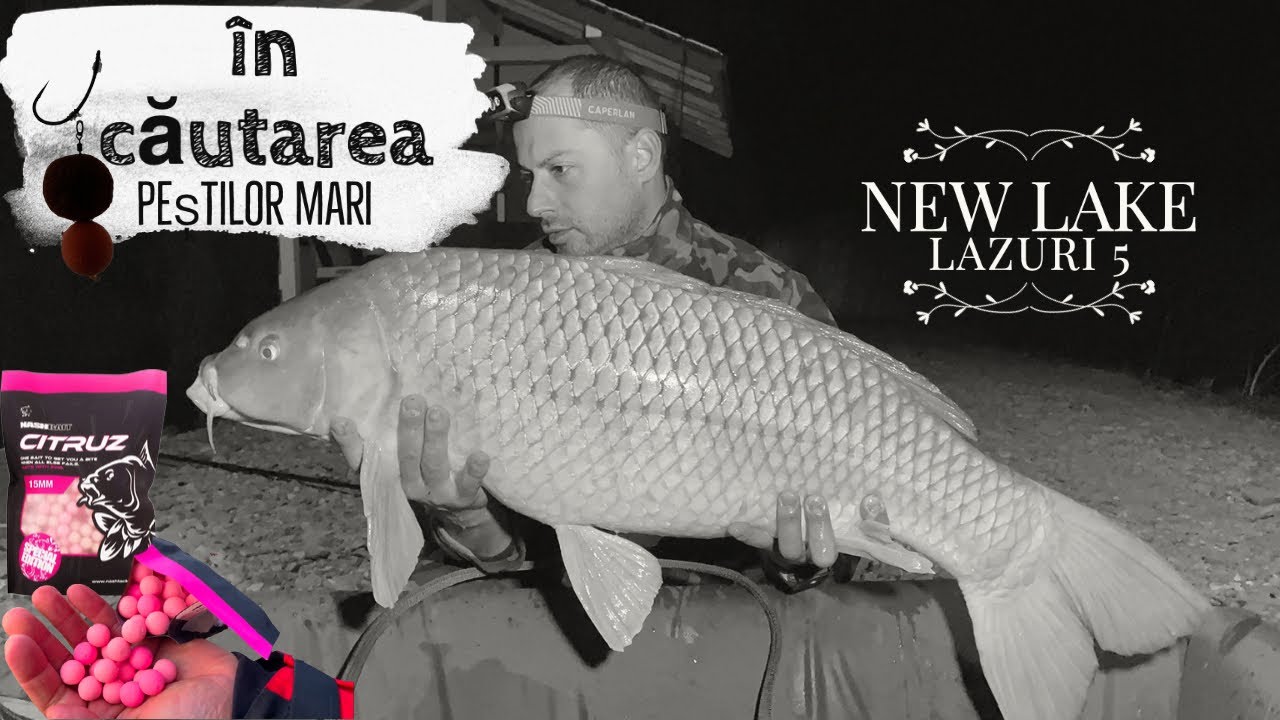 Cautam trofee pe New Lake Lazuri 5