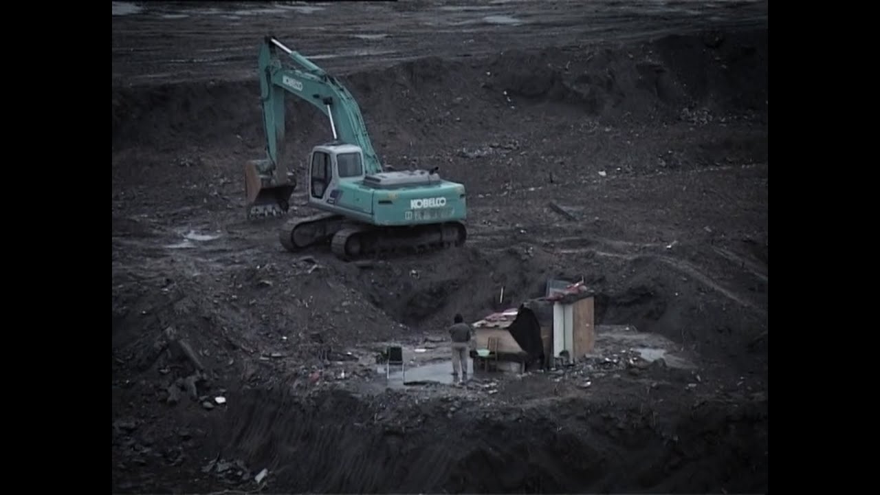 Petition (2009) Liang Zhao Documentary