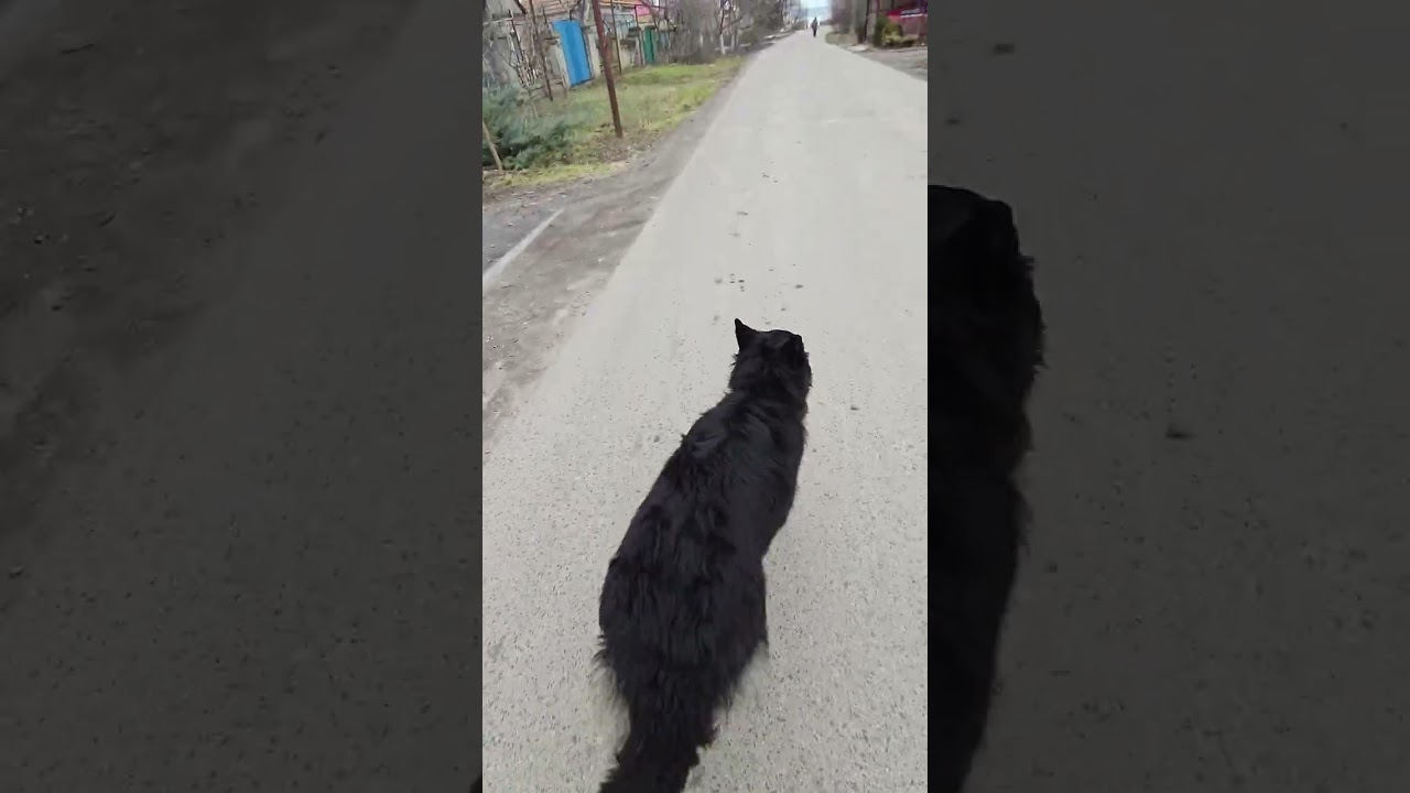 Прогулянка з командами. Ірма
