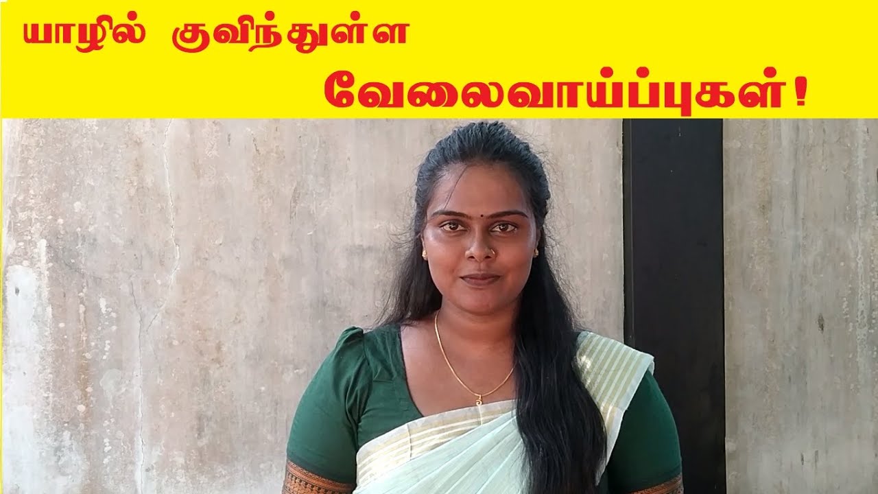 யாழில் அடுத்த வேலைவாய்ப்பு முகாம் ஜுலை 05ல் | Next Jobs Fair 05.07.2025