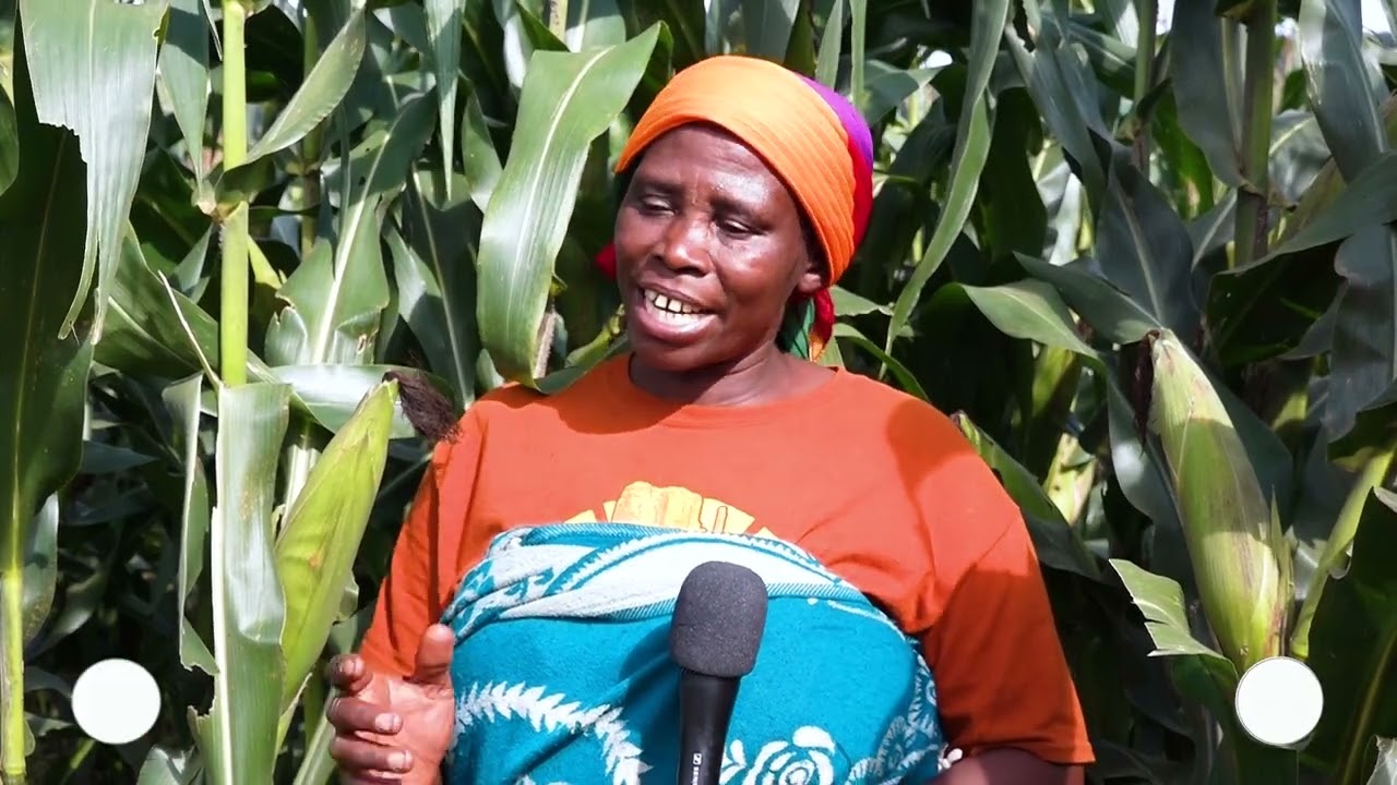Akamaro ko gufumbira isi ndimwa
