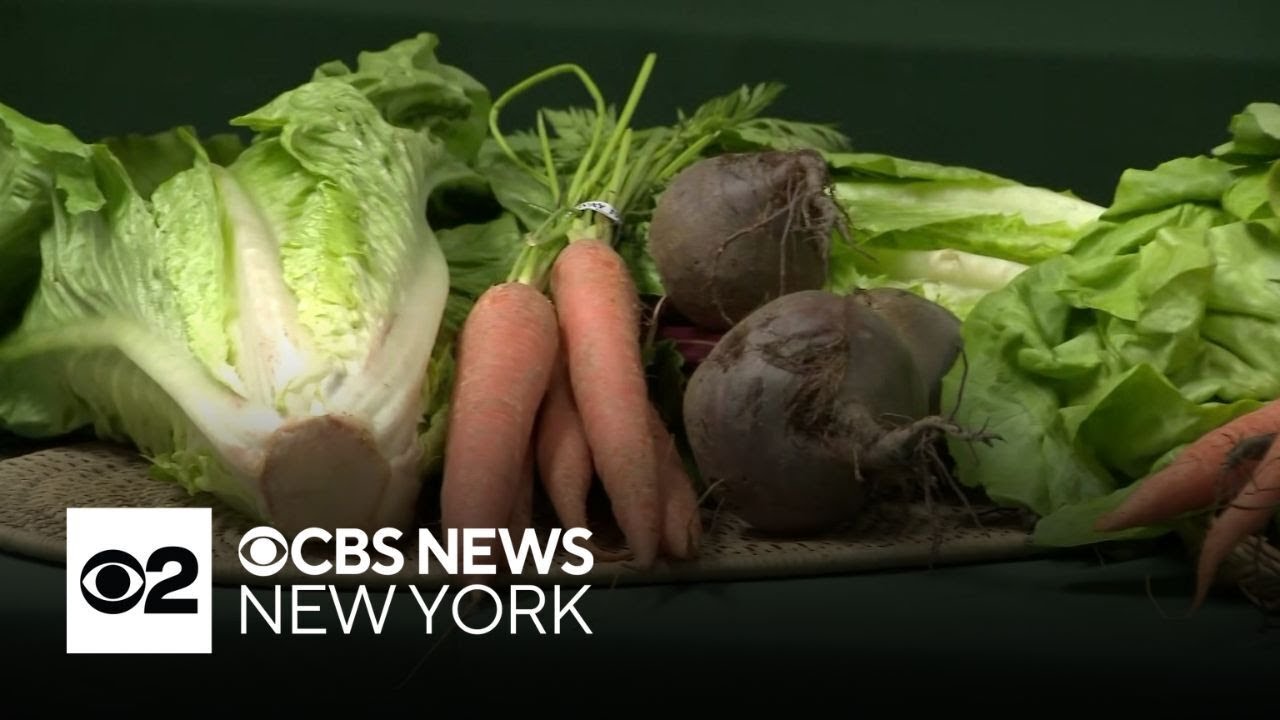 High levels of forever chemicals found in produce from 8 Long Island farms, study says