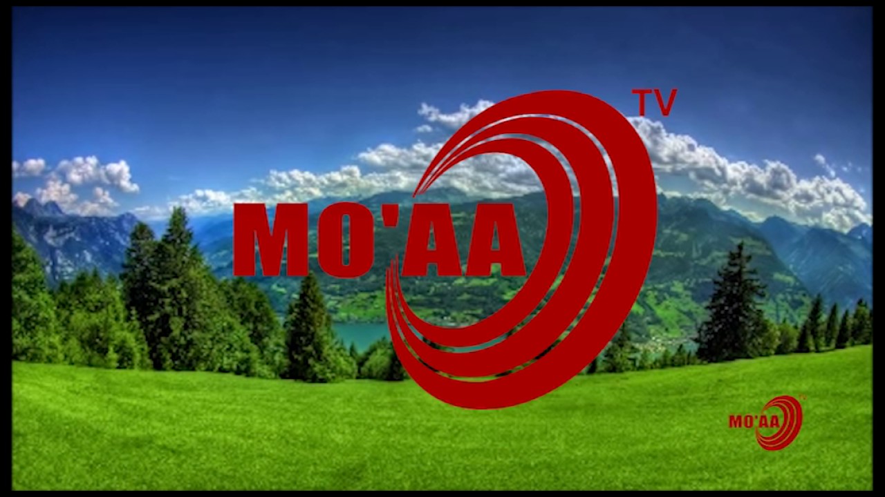 MO'AA TV: 