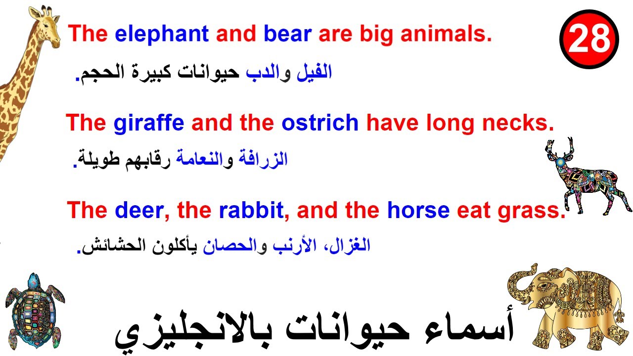 أسماء الحيوانات باللغة الإنجليزية في جمل - اسماء الحيوانات البرية بالانجليزية