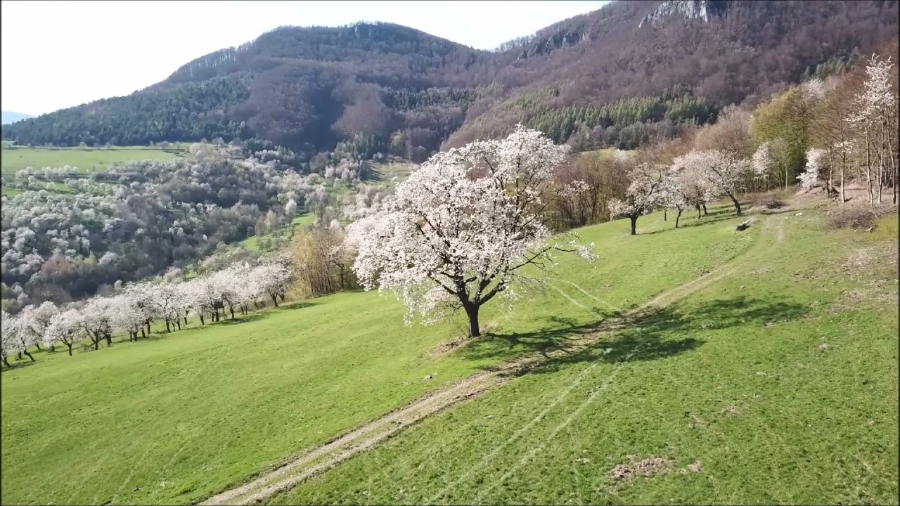 Brdárka 2021