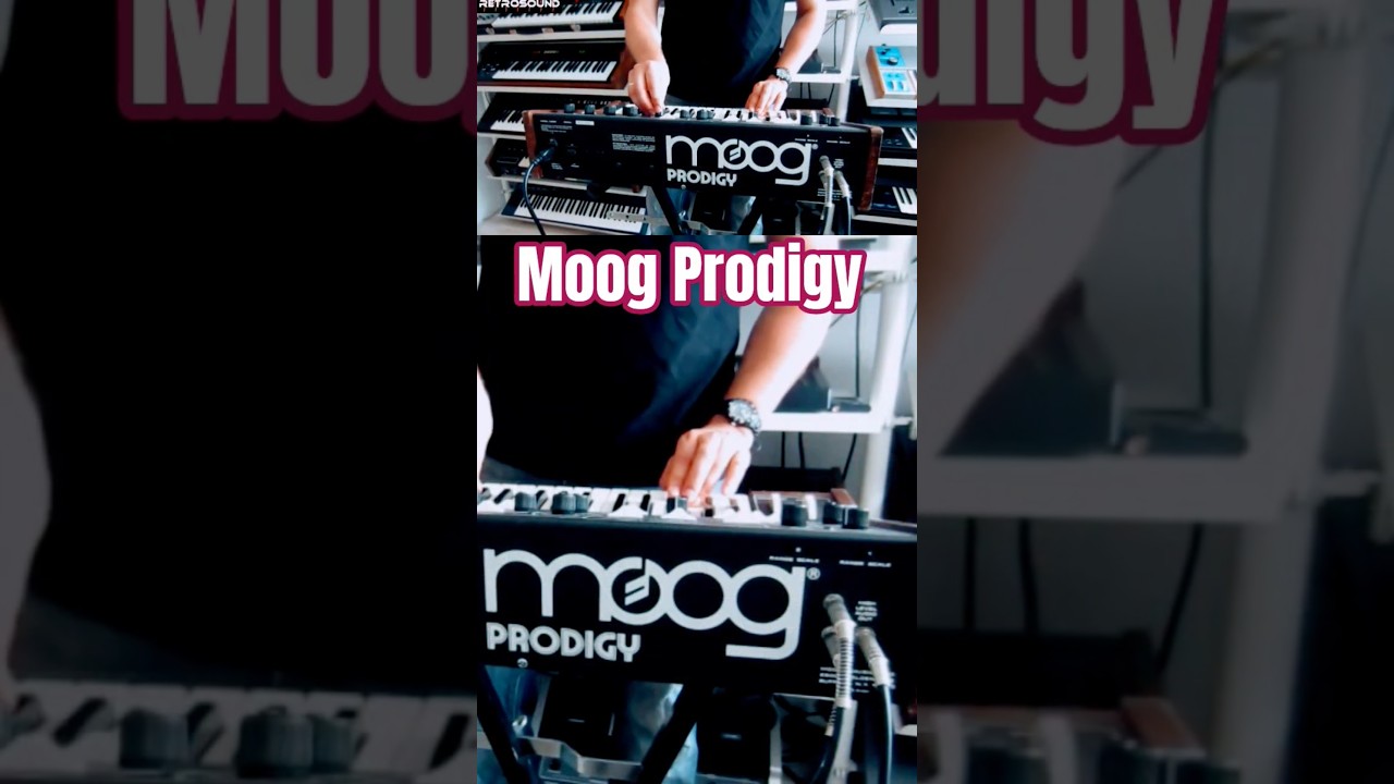Moog Prodigy 🎹 #synth #synthesizer #80s #electronicmusic #synthdemo #analogsynth #80smusic  #synths