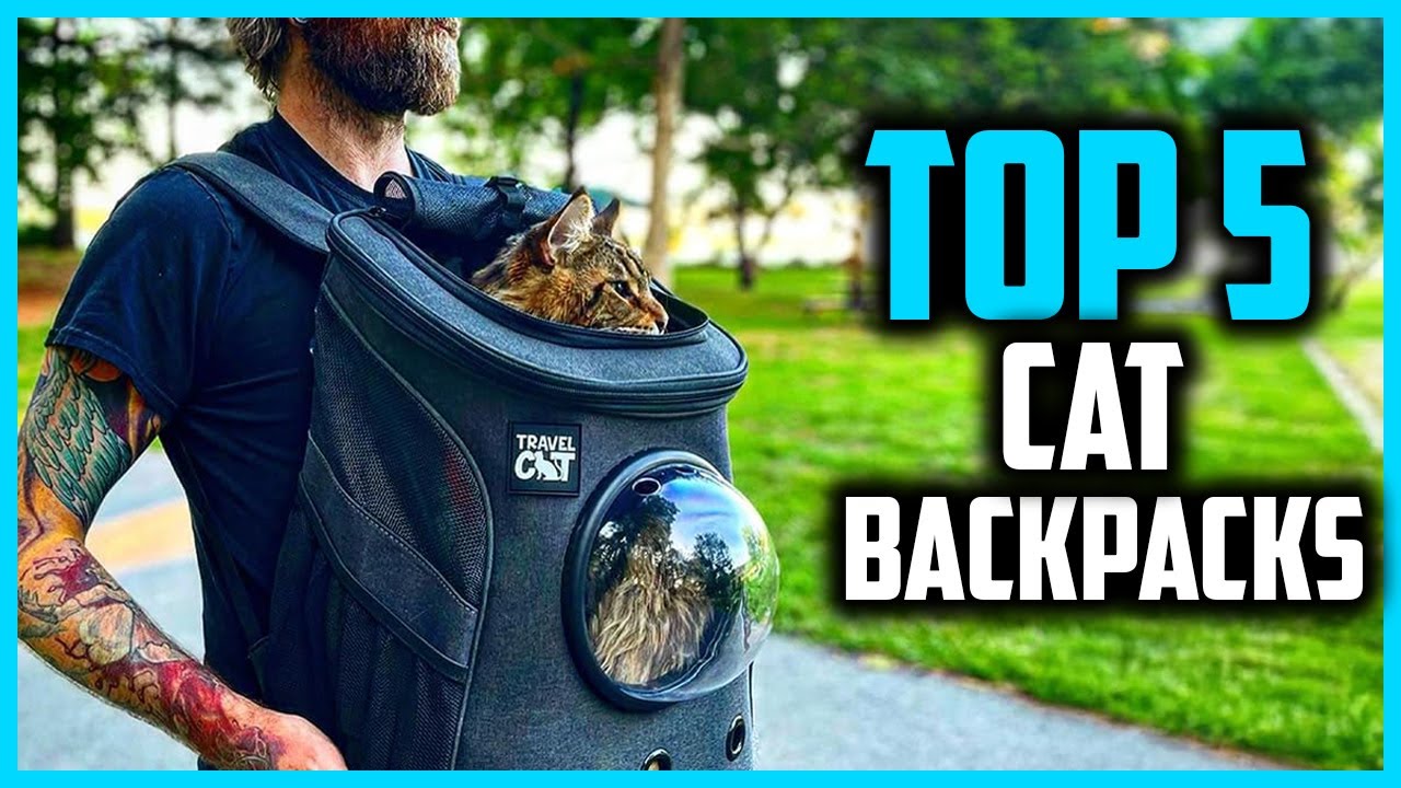 ✅ The 5 Best Cat Backpacks of 2025