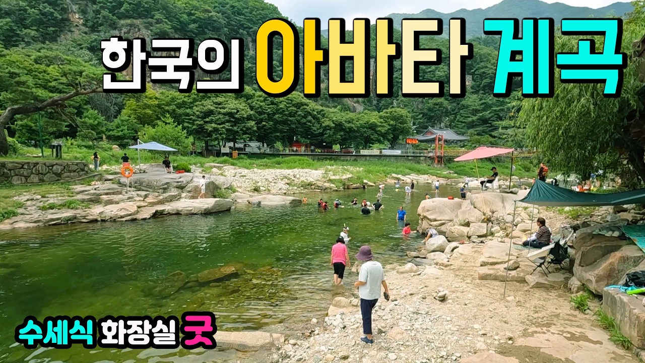 단양 사인암 계곡 놀기 좋은 천연 워터파크가 IC에서 10분 수세식 화장실 무료 주차장과 맛집이 있는 한국의 아바타 계곡 물놀이 파라다이스 계곡 국내여행.