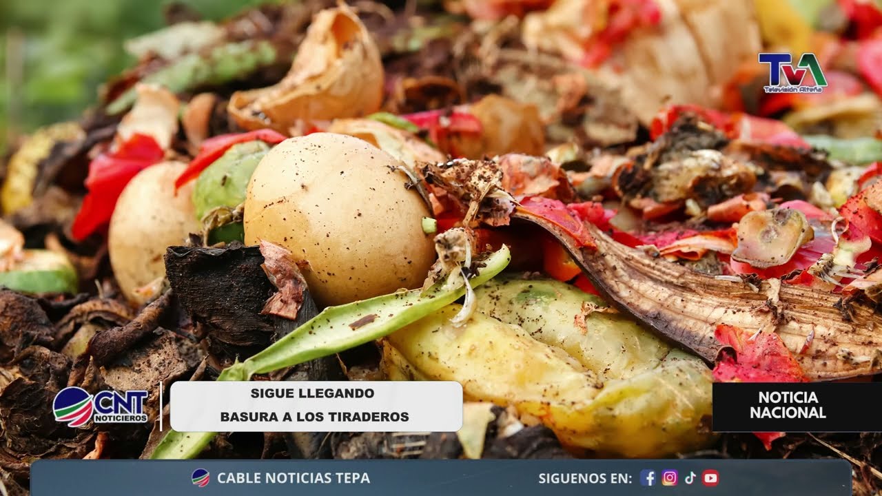 🍽️ Desperdicio de comida genera contaminación y pérdida de recursos