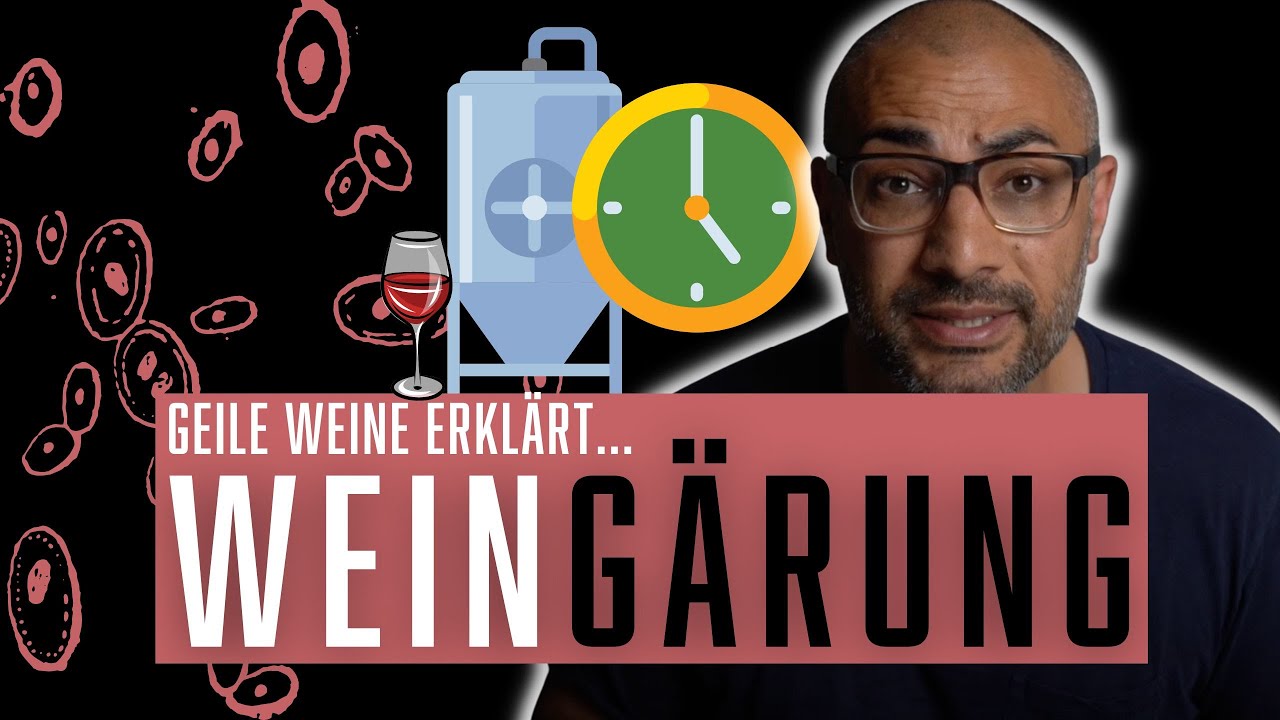 Der Prozess der alkoholischen G&auml;rung beim Wein einfach erkl&auml;rt | GWerkl&auml;rt