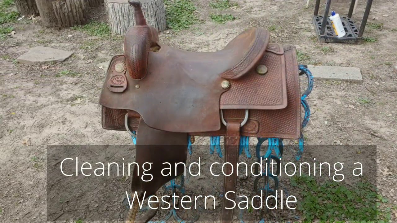 Cleaning and conditioning a Western Saddle to bring it back to life