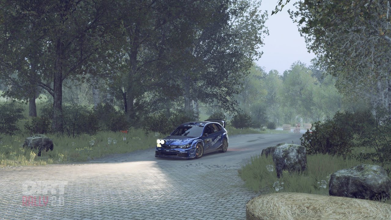 Dirt Rally 2 - Ruschberg (Alemania) - 13 012 26
