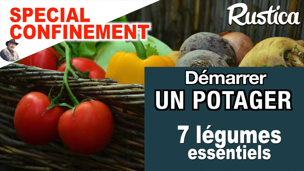 Mon premier potager : 7 l&eacute;gumes essentiels pour jardiniers en herbe