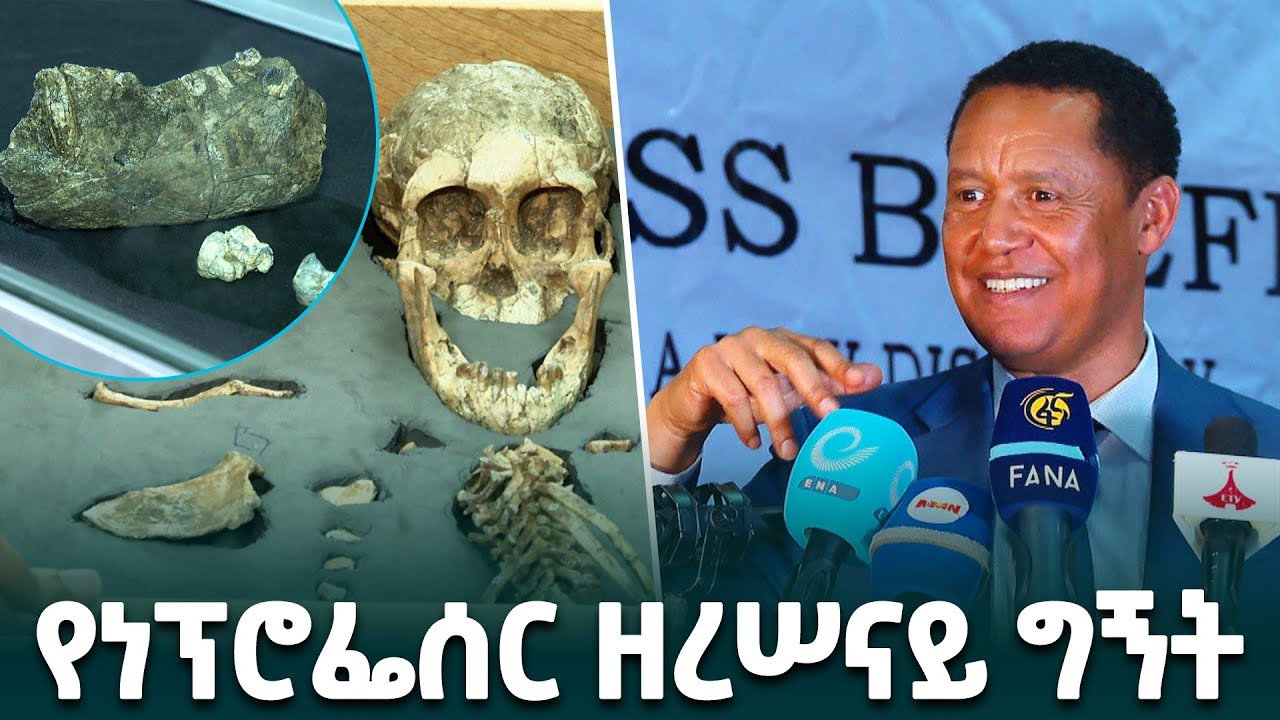 በአፋር ክልል ስፍራ የተገኘው የፓራንትሮፐስ የቅድመ ሰው ዘር-  በጥናት ቡድኑ መሪ ፕሮፈሰር ዘረሰናይ ዓለምሰገድ