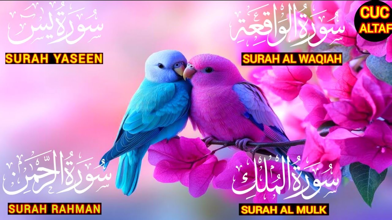 Surah Yasin Surah Rahman|Beautiful Recitation Surah Yaseen Surah Rahman Full|Quran Tilawat Best |185