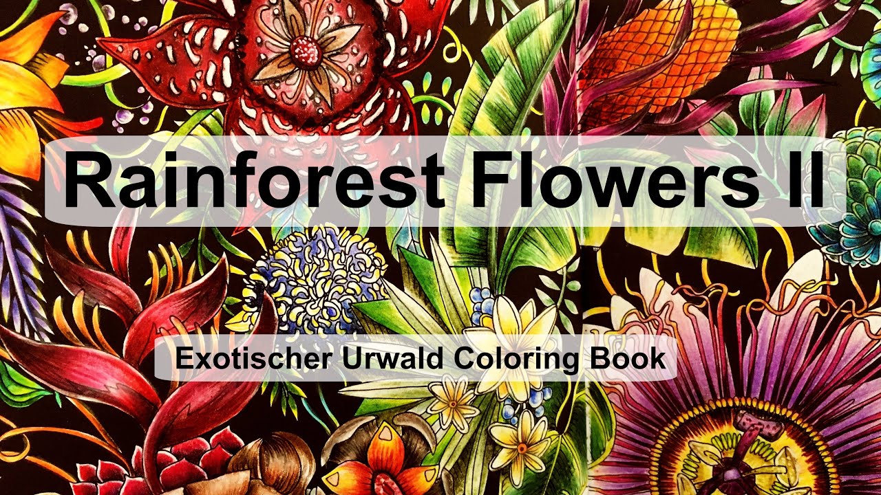 Rainforest Flowers II | Adult Coloring Book: Exotischer Urwald (Exotic Jungle)