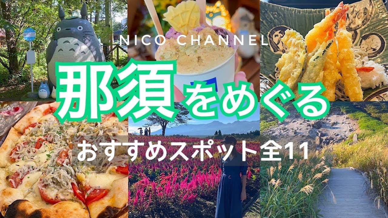 【那須】おすすめスポット全11ヶ所❗️観光からランチ、カフェ、パワースポットなど盛りだくさん😊完全保存版✨