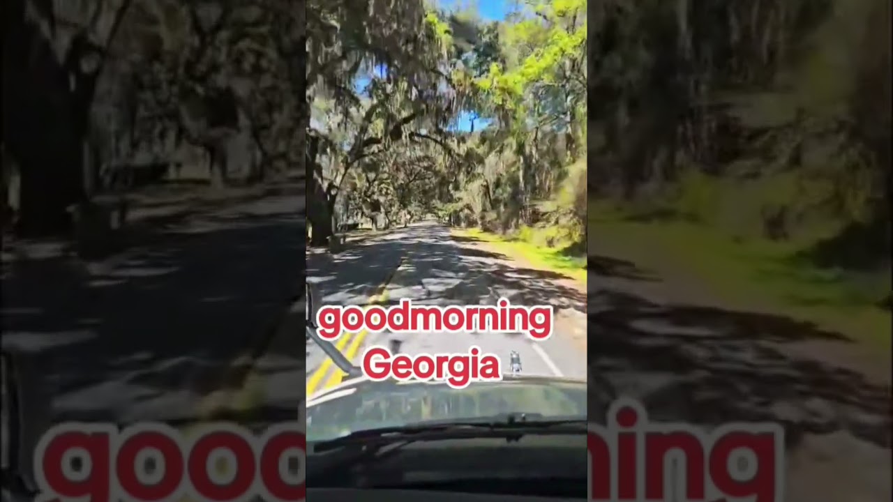 ГРУЗИЯ, США #ГРУЗИЯ #ПУТЕШЕСТВИЯ #АВТОПУТЕШЕСТВИЕ #ВОДИТЕЛЬГРУЗОВИКА #ЖИЗНЬВОДИТЕЛЯГРУЗОВИКА #США
