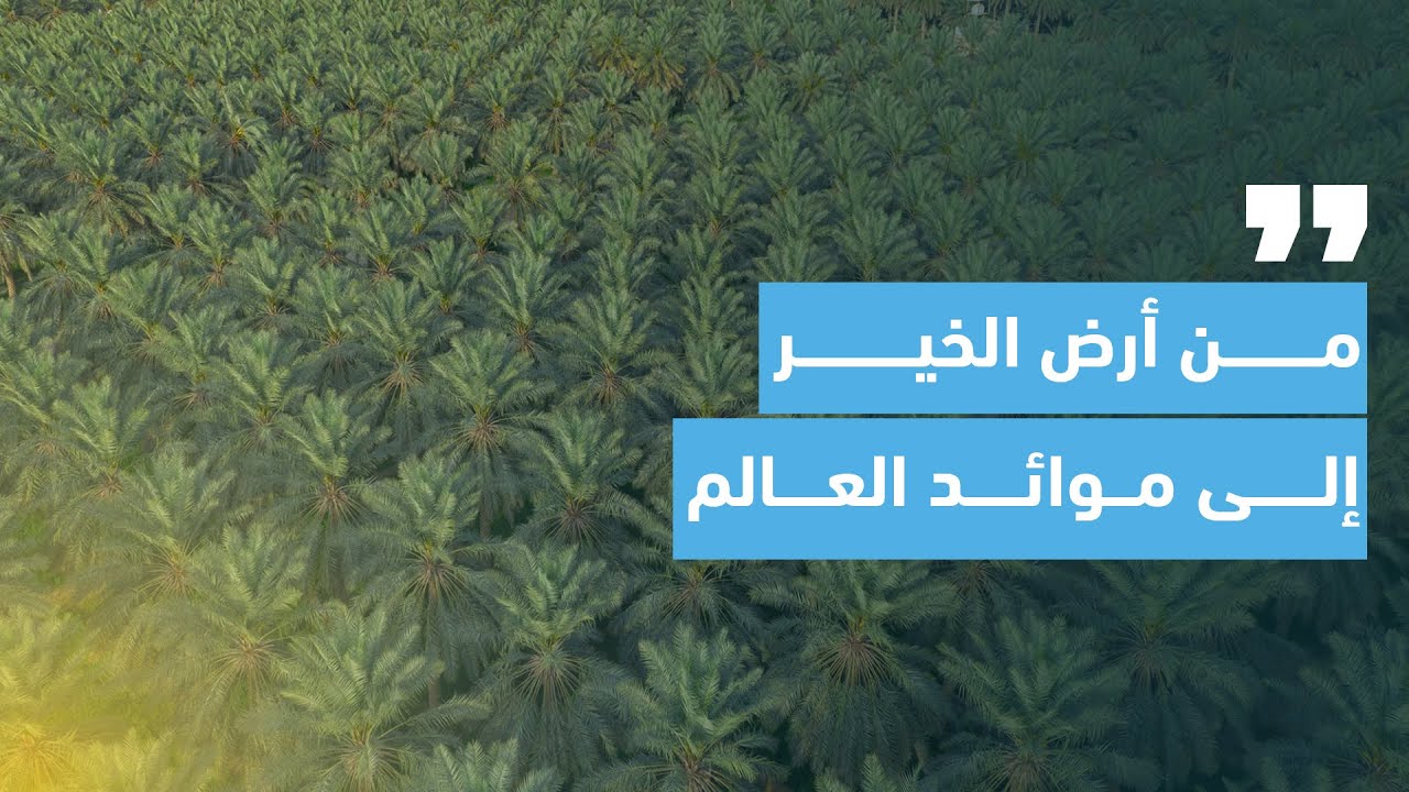 مصنع الظاهري للتمور ( فيلم وثائقي )