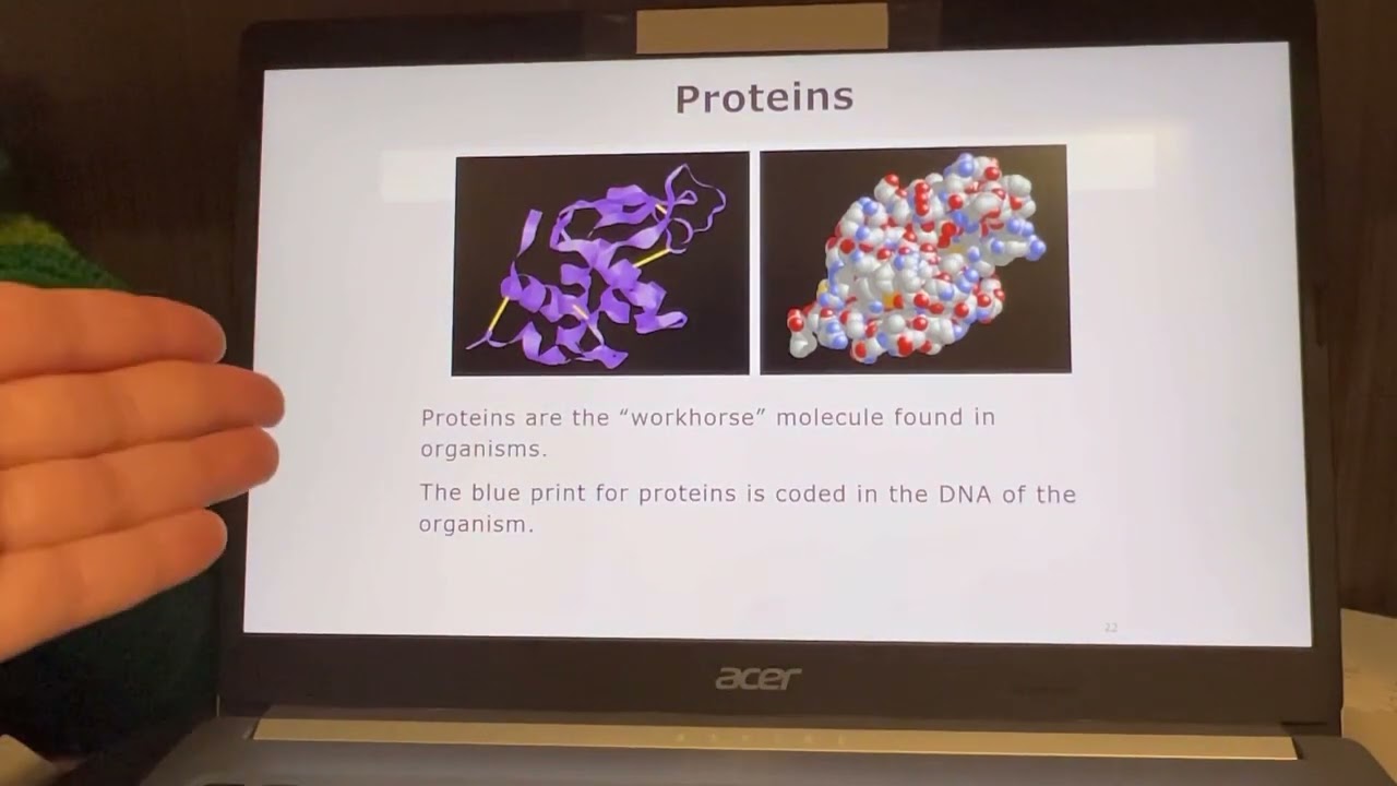 Year 10 Biology complete course