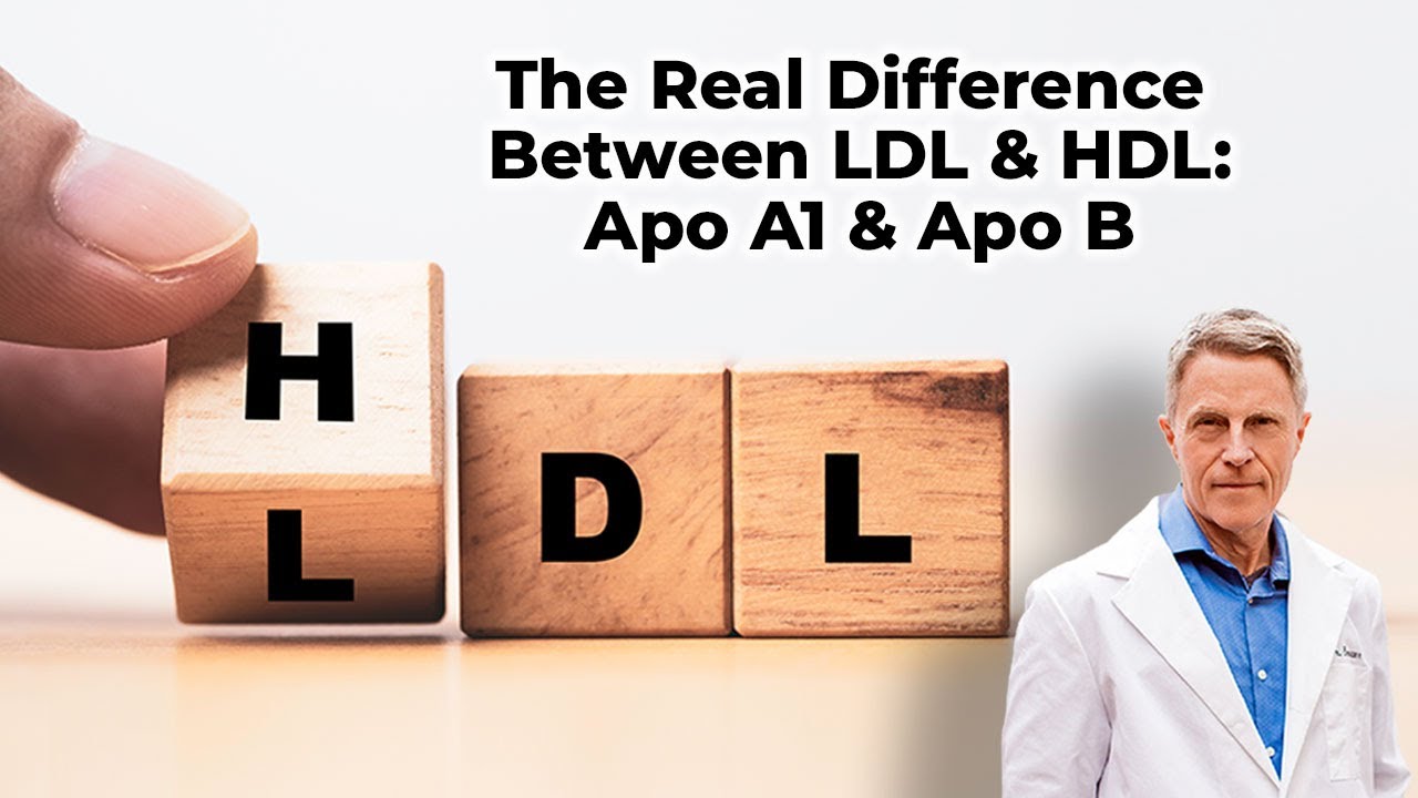 The Real Difference Between LDL & HDL: Apo A1 & Apo B