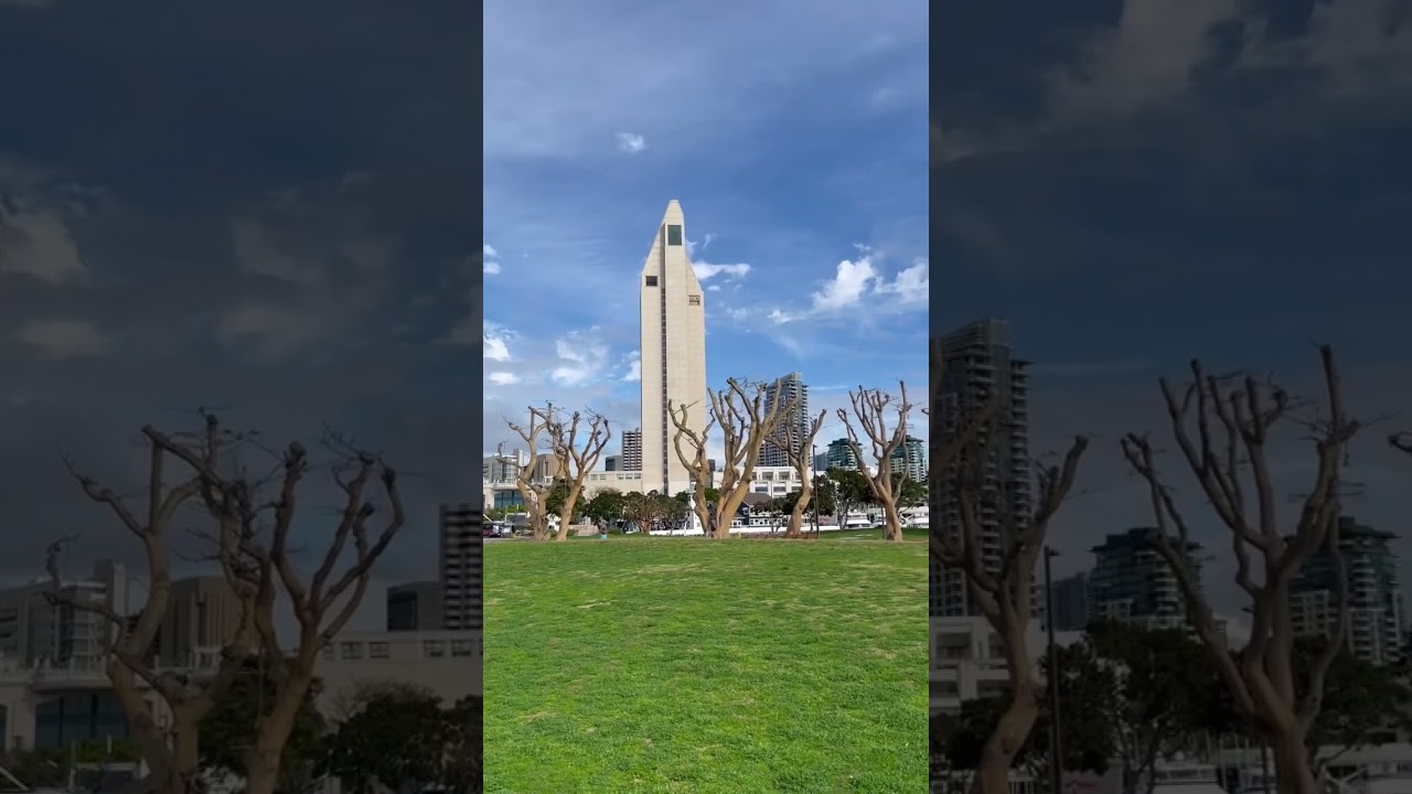 The Beauty of San Diego California #shortvideo #california #sandiegolife #sandiego #sandiegoblogger