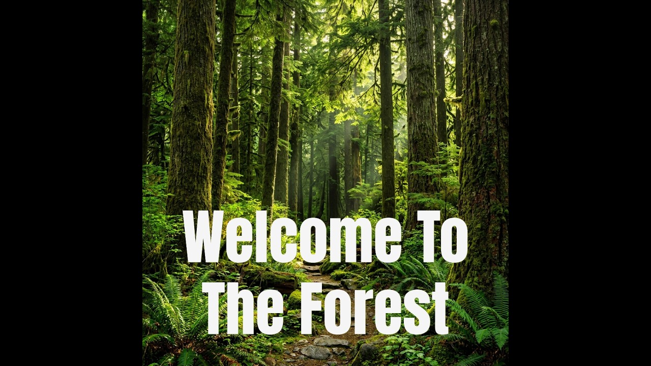 Welcome To The Forest　　　◤ Guns N' Roses ／Welcome To The Jungle  が...！！