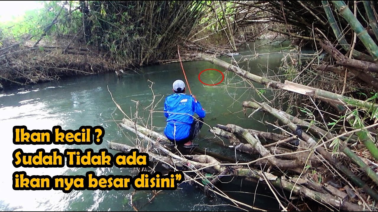 Rasa takut hilang Kalau ikan nya besar