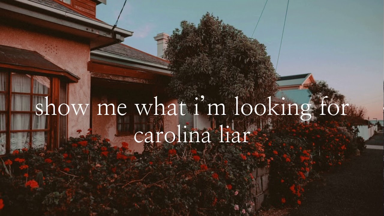 show me what i’m looking for - carolina liar (slowed)