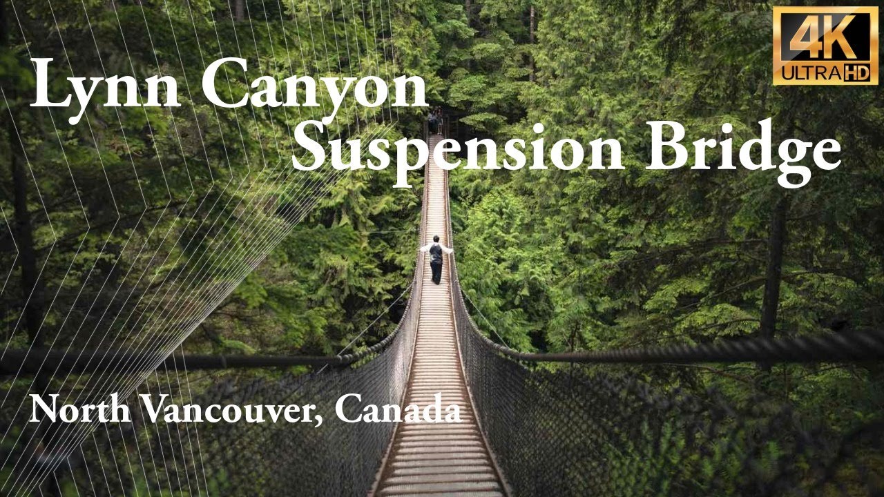 Lynn Canyon Suspension Bridge Walk | 4K POV Nature Walk | North Vancouver Canada