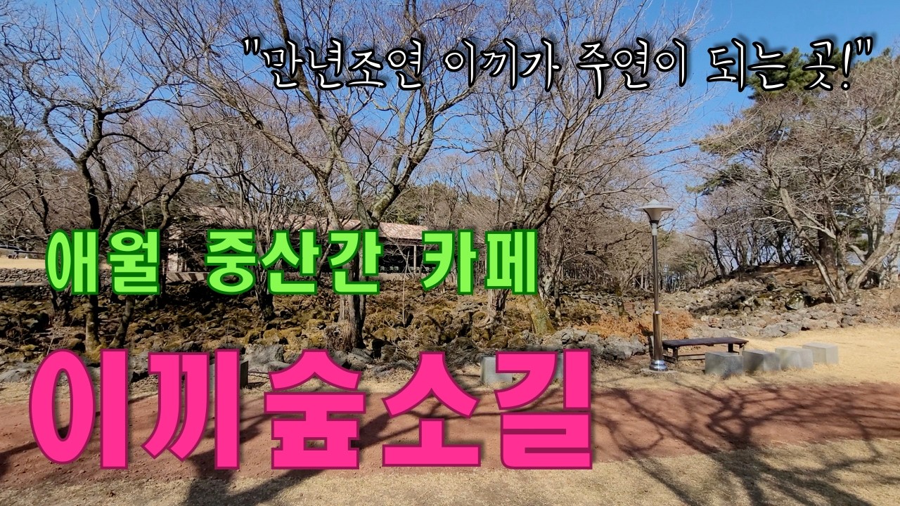 퇴미중 - 이끼숲소길 - 제주 만년조연 