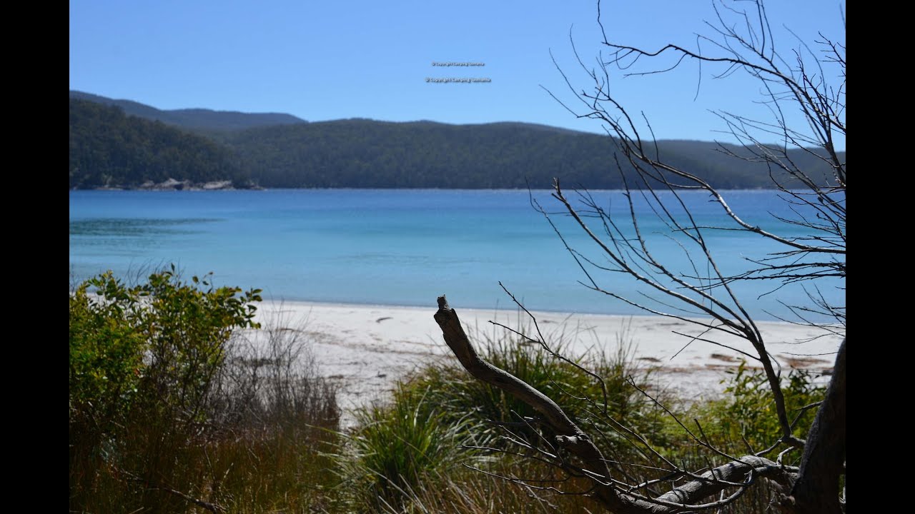 Fortescue Bay Campground Three Capes Track Camping Tasman National Park