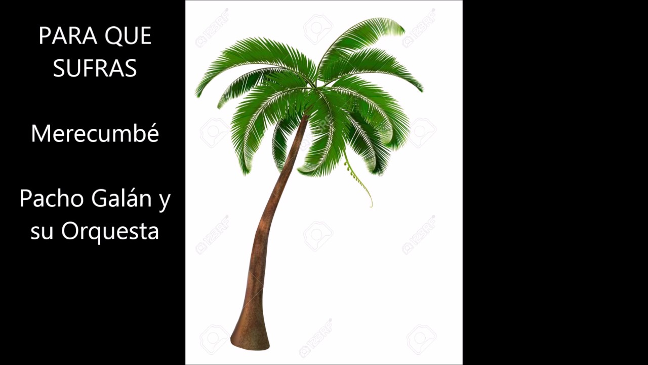 PARA QUE SUFRAS Merecumbé  Pacho Galán y su Orquesta