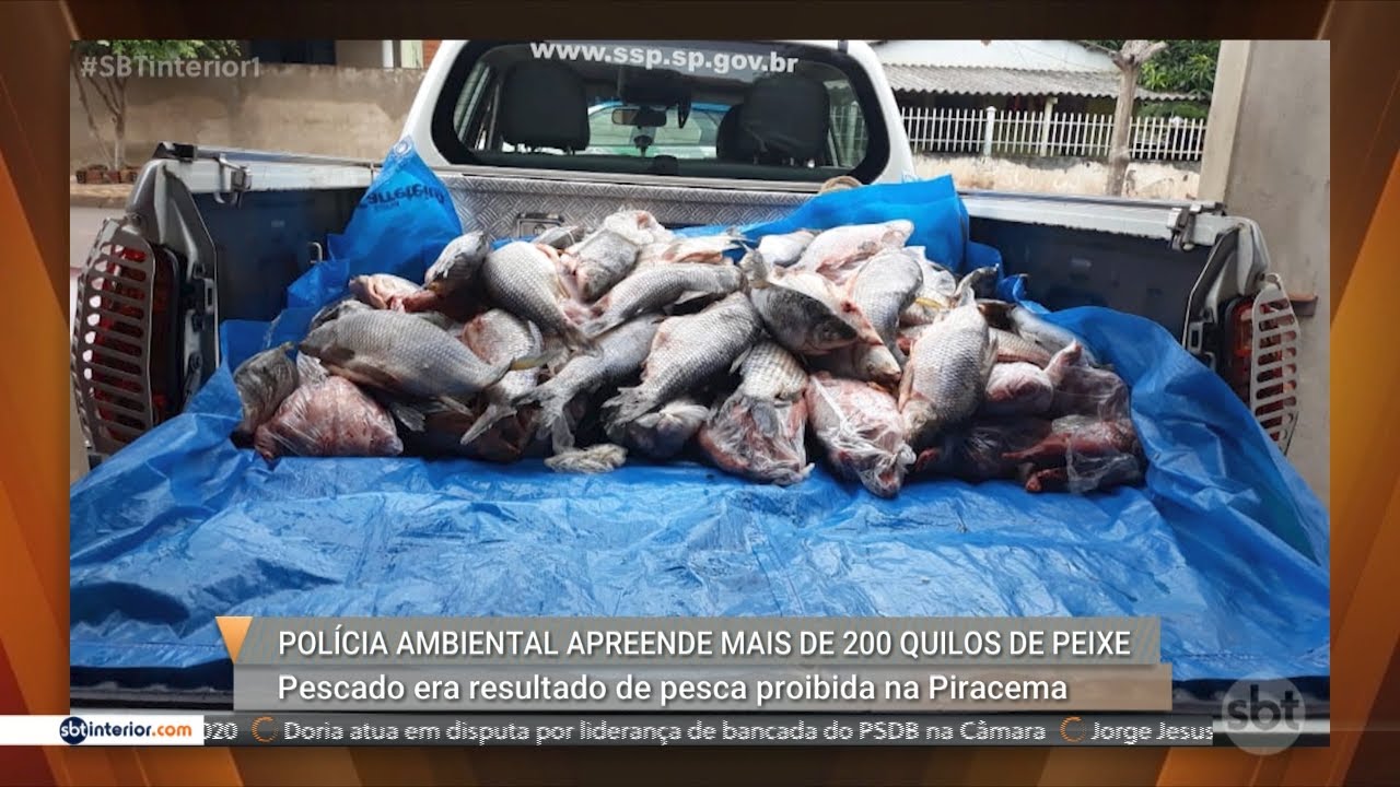 Pol&iacute;cia Ambiental apreende mais de 200 quilos de peixe em pesca proibida